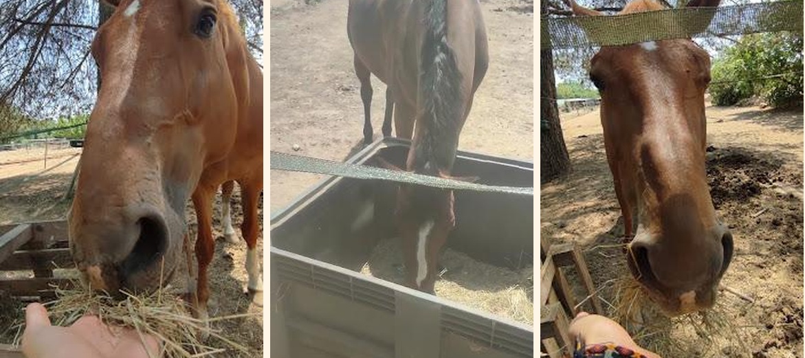 Restaurant Ici t'es Ailleurs - Gallery Image 4