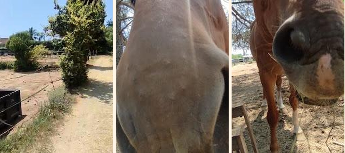 Restaurant Ici t'es Ailleurs - Gallery Image 5